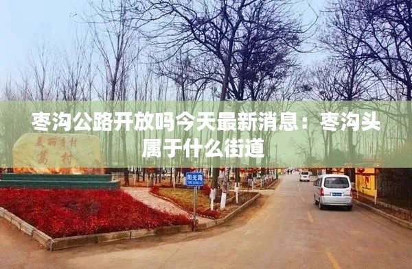 枣沟公路开放吗今天最新消息：枣沟头属于什么街道 