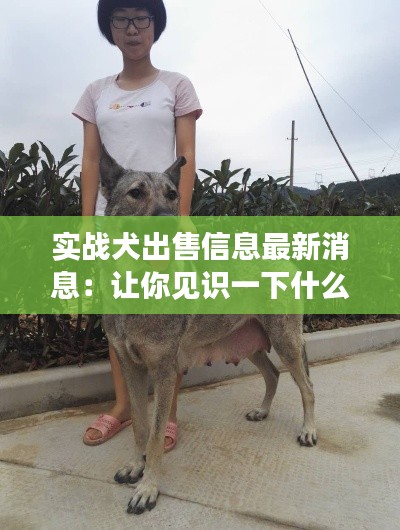 鸟覆危巢 第2页