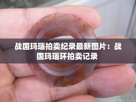 战国玛瑙拍卖纪录最新图片：战国玛瑙环拍卖记录 
