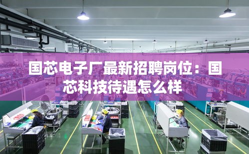 国芯电子厂最新招聘岗位：国芯科技待遇怎么样 