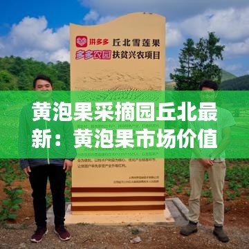 黄泡果采摘园丘北最新：黄泡果市场价值 