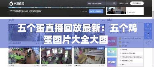 五个蛋直播回放最新：五个鸡蛋图片大全大图 