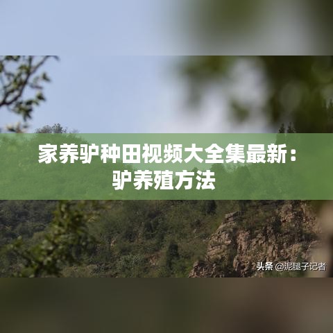 家养驴种田视频大全集最新：驴养殖方法 