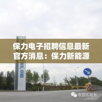 保力电子招聘信息最新官方消息：保力新能源开发有限公司 