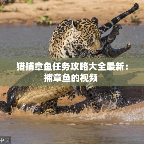 猎捕章鱼任务攻略大全最新：捕章鱼的视频 