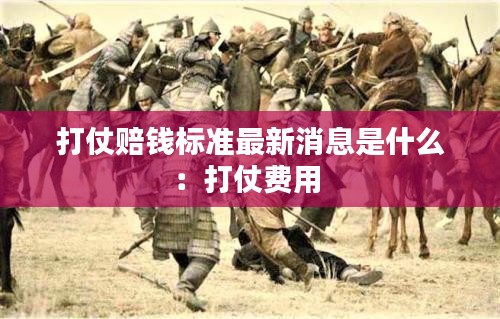 打仗赔钱标准最新消息是什么：打仗费用 