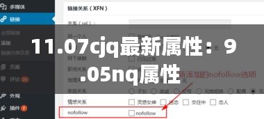 11.07cjq最新属性：9.05nq属性 