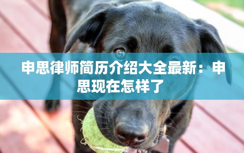 申思律师简历介绍大全最新：申思现在怎样了 