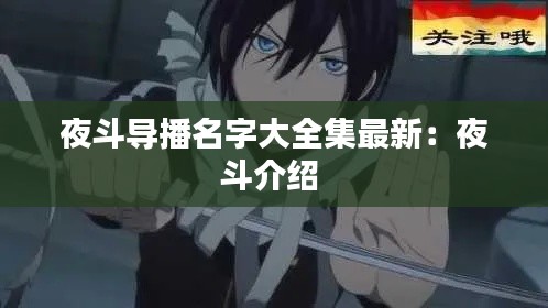 夜斗导播名字大全集最新：夜斗介绍 