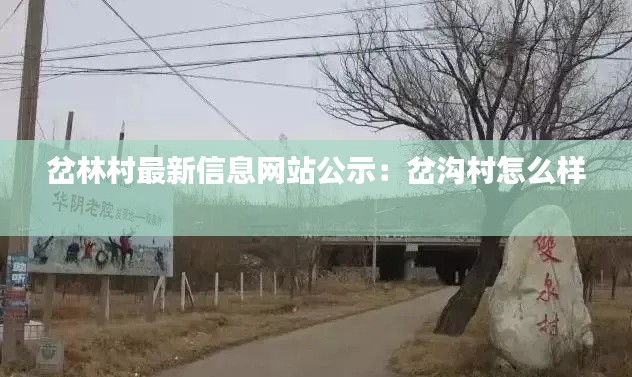 岔林村最新信息网站公示：岔沟村怎么样 