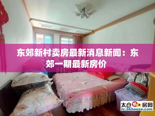 东郊新村卖房最新消息新闻：东郊一期最新房价 