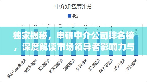 独家揭秘，申研中介公司排名榜，深度解读市场领导者影响力与服务质量！