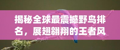 揭秘全球最震撼野鸟排名，展翅翱翔的王者风采！