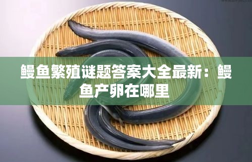 鳗鱼繁殖谜题答案大全最新：鳗鱼产卵在哪里 