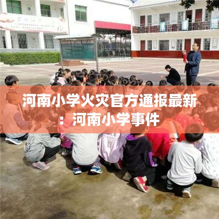 河南小学火灾官方通报最新：河南小学事件 