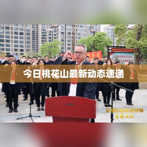 今日桃花山最新动态速递