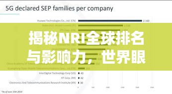 揭秘NRI全球排名与影响力，世界眼中的重要指标解析