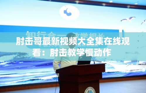 博古通今 第2页