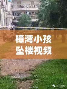樟湾小孩坠楼视频最新：樟树湾学校 