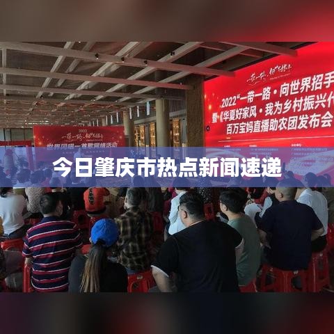 今日肇庆市热点新闻速递