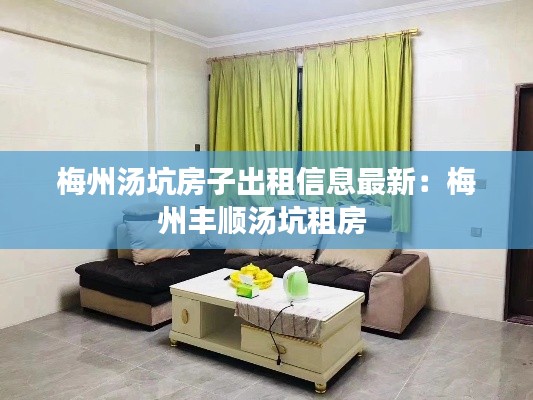 梅州汤坑房子出租信息最新：梅州丰顺汤坑租房 