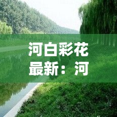 河白彩花最新：河白草图片与作用? 