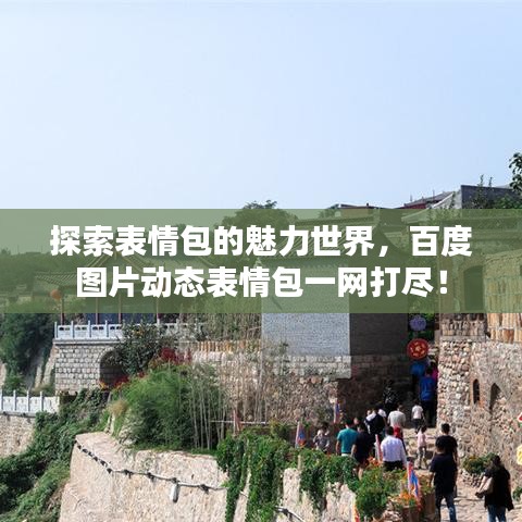 探索表情包的魅力世界，百度图片动态表情包一网打尽！