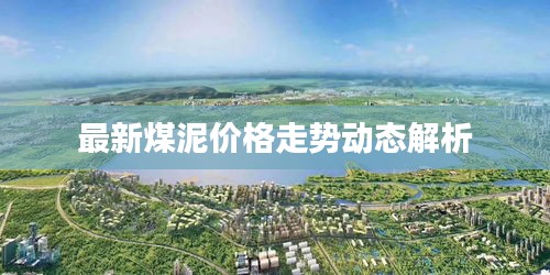最新煤泥价格走势动态解析