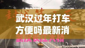 武汉过年打车方便吗最新消息：武汉就地过春节 