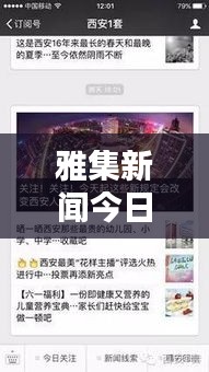 洵属可贵 第3页