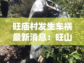 旺庙村发生车祸最新消息：旺山寺庙 