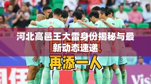 河北高邑王大雷身份揭秘与最新动态速递