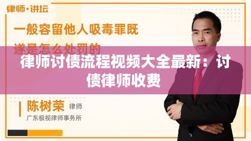律师讨债流程视频大全最新：讨债律师收费 