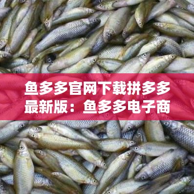 鱼多多官网下载拼多多最新版：鱼多多电子商务有限公司 