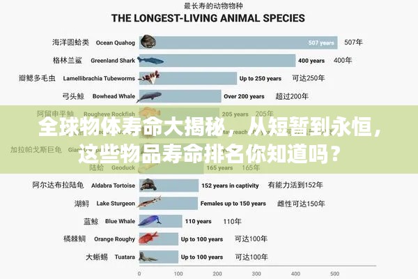 全球物体寿命大揭秘，从短暂到永恒，这些物品寿命排名你知道吗？