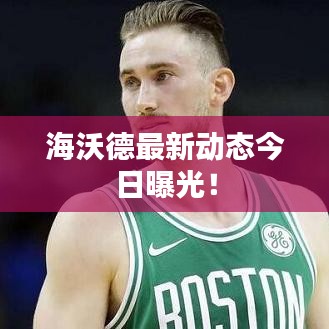 海沃德最新动态今日曝光！