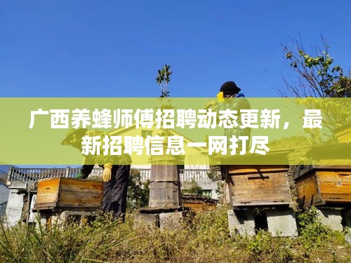 广西养蜂师傅招聘动态更新，最新招聘信息一网打尽