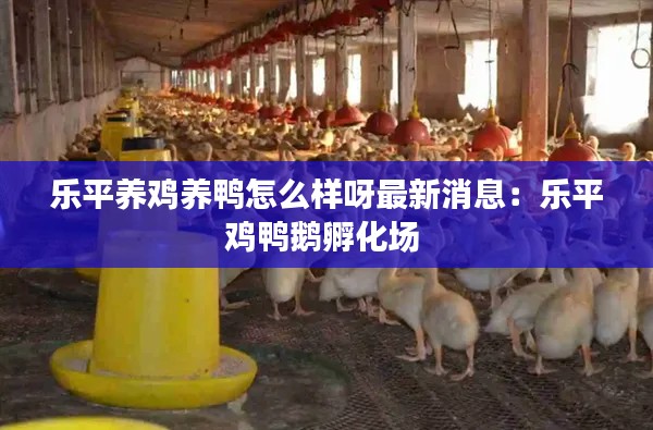 乐平养鸡养鸭怎么样呀最新消息：乐平鸡鸭鹅孵化场 