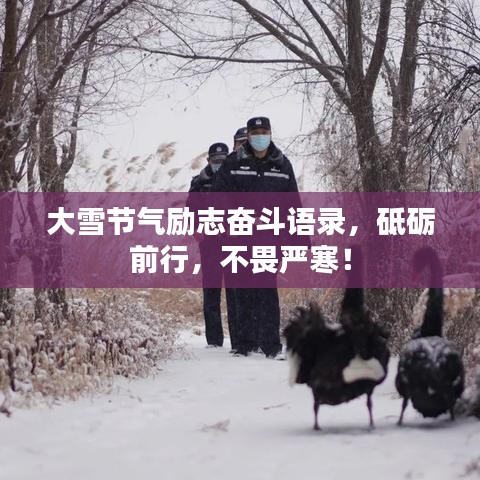 大雪节气励志奋斗语录，砥砺前行，不畏严寒！