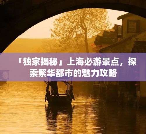 「独家揭秘」上海必游景点，探索繁华都市的魅力攻略