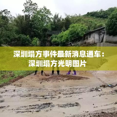 木乾鸟栖 第2页