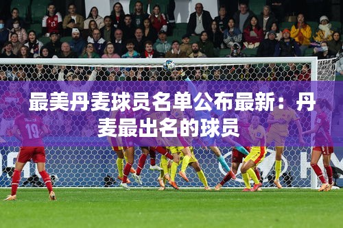 最美丹麦球员名单公布最新：丹麦最出名的球员 