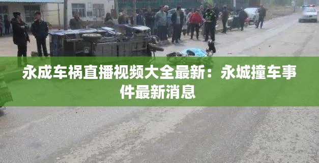 永成车祸直播视频大全最新：永城撞车事件最新消息 