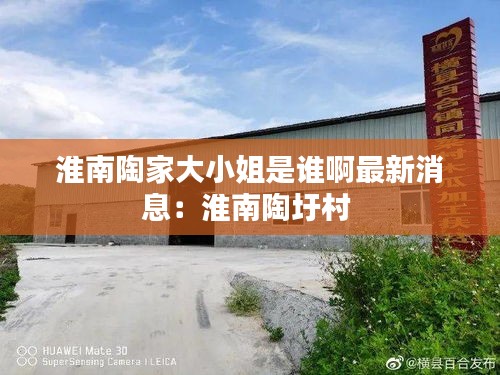 淮南陶家大小姐是谁啊最新消息：淮南陶圩村 