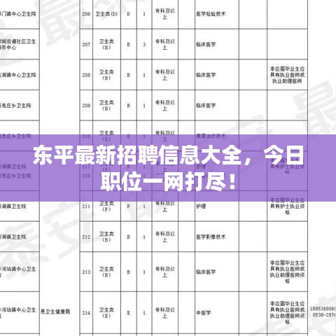 东平最新招聘信息大全，今日职位一网打尽！