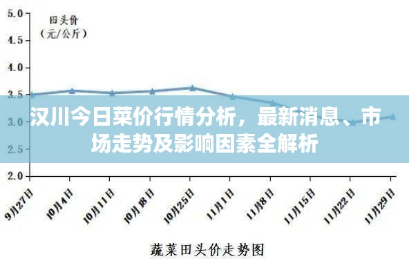 汉川今日菜价行情分析，最新消息、市场走势及影响因素全解析