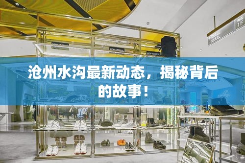 沧州水沟最新动态，揭秘背后的故事！