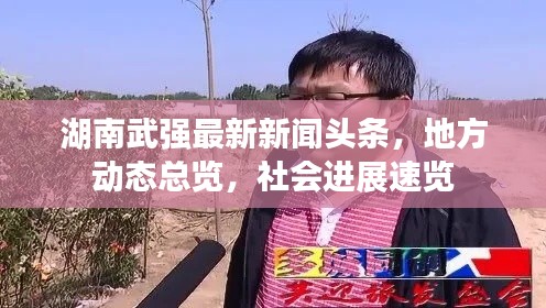 湖南武强最新新闻头条，地方动态总览，社会进展速览