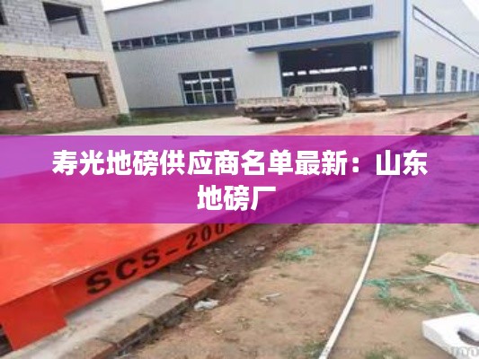 寿光地磅供应商名单最新：山东地磅厂 