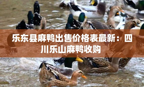 乐东县麻鸭出售价格表最新：四川乐山麻鸭收购 